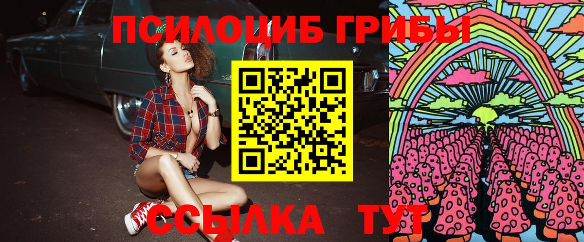 Галлюциногенные грибы Cubensis Тосно