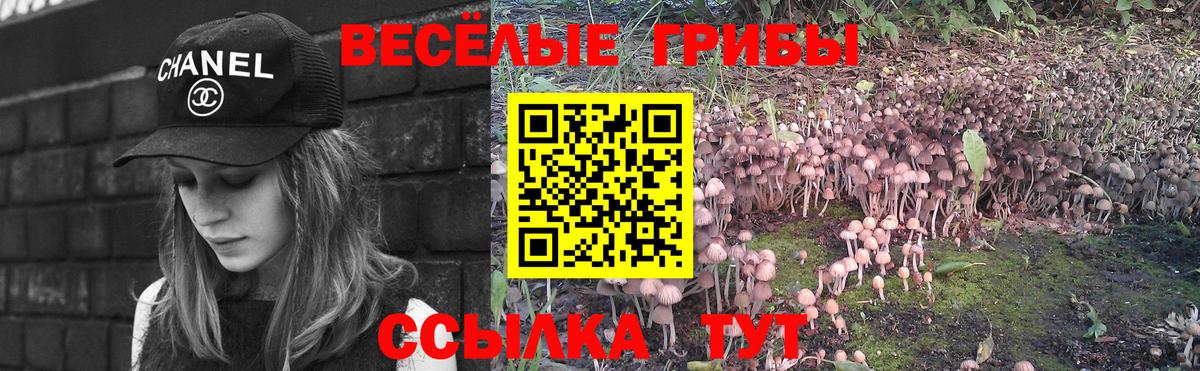 Псилоцибиновые грибы ЛСД  Псилоцибиновые грибы мухоморы  Тосно  Вход с VPN 